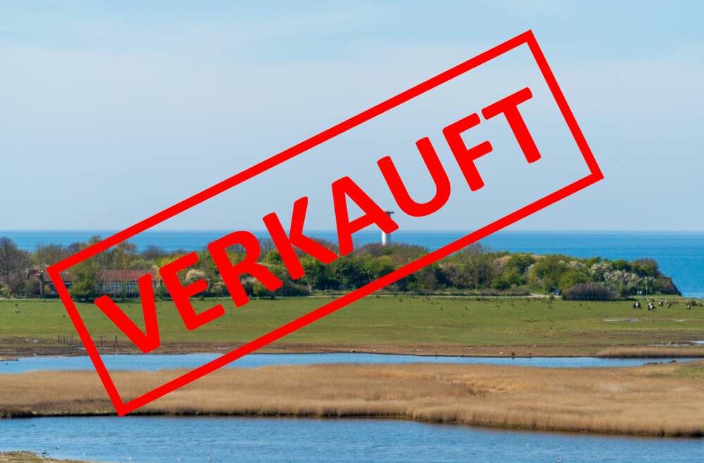 Freier Blick über die Salzwiesen zur Steilküste (129072454)