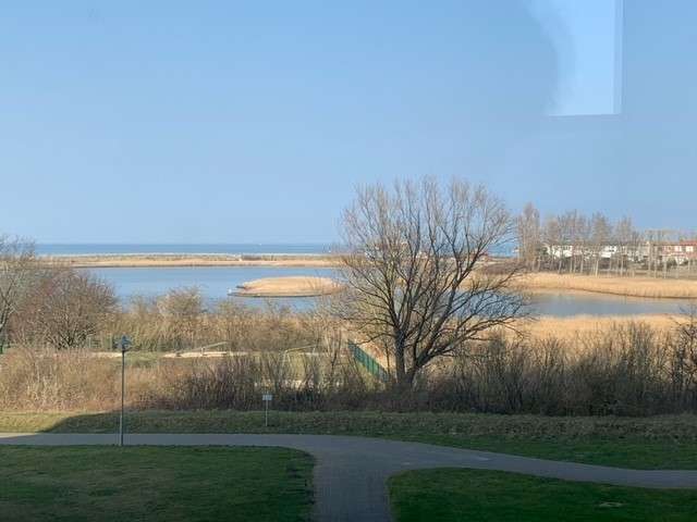 Den Ostseeblick genießen (132922318)